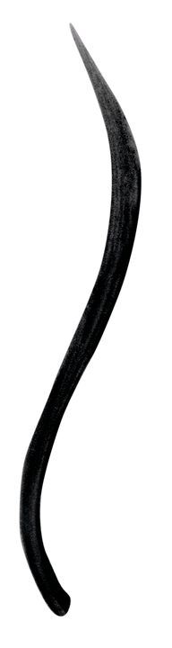 Liquid Eyeliner (Black) - Jane Iredale